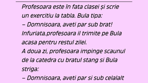 BANC | Bulă și profesoara neîngrijită