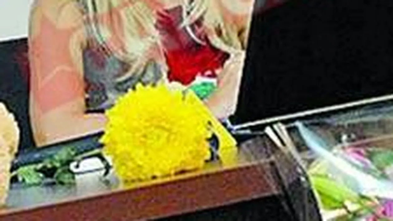 Elena Udrea, in carti pentru un post greu in guvern