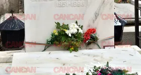 Galerie foto - poza 3