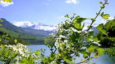 METEO 8 FEBRUARIE. Afla cum va fi vremea luni inainte sa iesi din casa