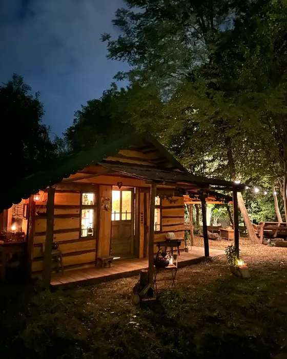 Cum arată casa în care locuiește Mihaela Bilic, din inima pădurii: “Nu am curent electric, nici apă”