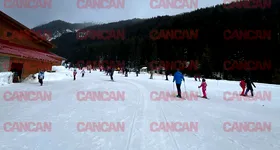 Galerie foto - poza 4