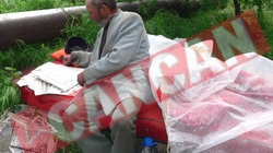 Doarme cu cainii ca sa nu moara de frig