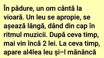 BANCUL ZILEI | Violonistul din pădure