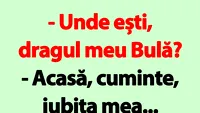 BANC | Unde ești, dragul meu Bulă?