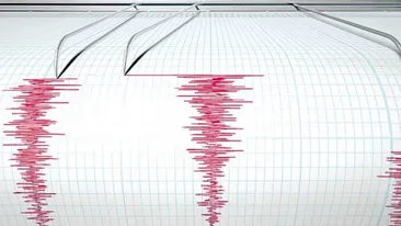 Cutremur în România! Unde s-a produs și ce magnitudine a avut