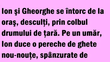 BANC | Ion și Gheorghe se întorc de la oraș, desculți