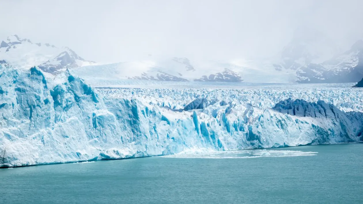 Creaturile care trăiesc și 11.000 de ani. Sunt foarte bizare și locuiesc în Antarctica