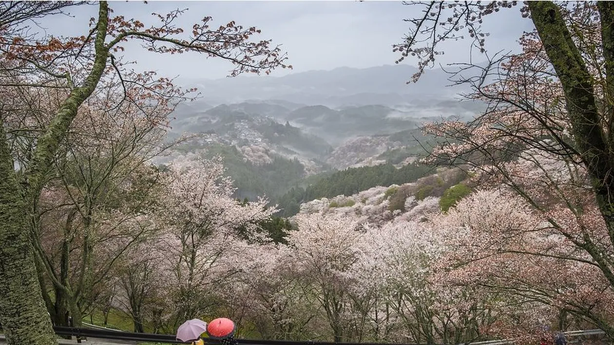 PROGNOZA METEO 6 APRILIE: Vremea se răcește! Sunt anunțate ploi însoțite de descărcări electrice