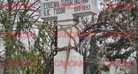 Galerie foto - poza 4