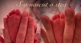 Galerie foto - poza 4