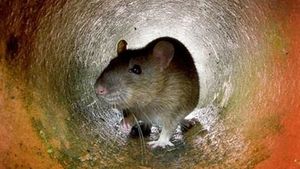 A avut parte de socul vietii lui cand a dat masina de spalat vase la o parte! Uite ce a descoperit acest barbat in propria casa!