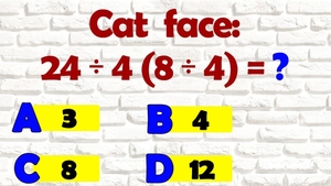 TEST IQ | Cât face 24/4(8/4)? Ești sigur că ai fost atent?!