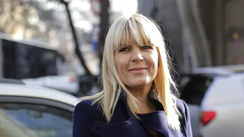 Elena Udrea: „Măi lichelelor, aţi uitat când lingeaţi clanţa să vă sprinjin să luaţi funcţii în partid?”