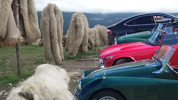 Povestea ciobanilor care și-au transformat stâna în popas turistic