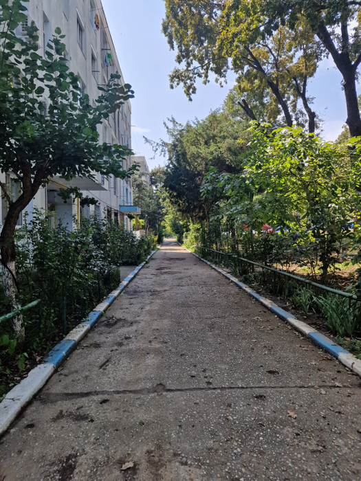 Aici a copilărit Inna! Cum arată blocul și câtă grijă au vecinii de grădină