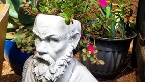 Iluzie optică virală | Găsiți pisica ascunsă în această imagine! Aveți la dispoziție doar 9 secunde