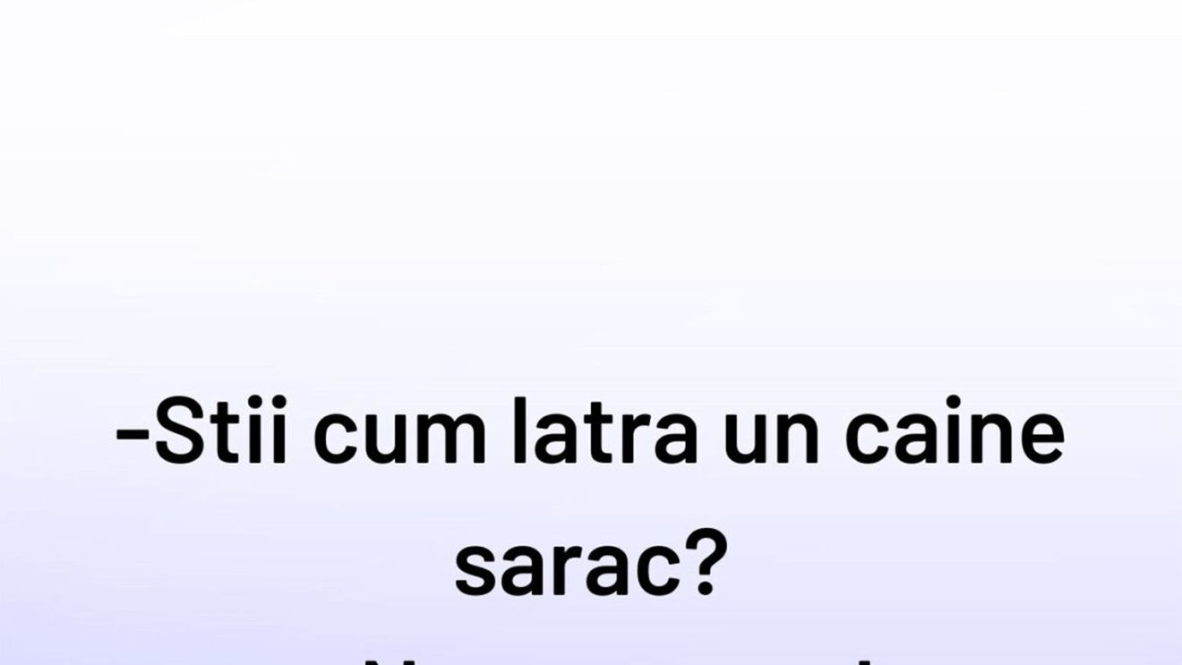 BANCUL ZILEI | Cum latră un câine sărac