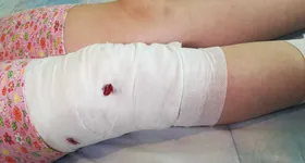 Galerie foto - poza 1