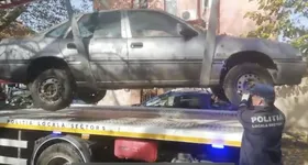 Galerie foto - poza 2