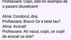 BANCUL ZILEI | "Copii, dați exemplu de o pasăre zburătoare!" Ce a răspuns Bulă