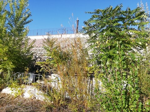 Stadionul Municipal din Bacău, fost ”Dumitru Sechelariu”, a a ajuns de nerecunoscut