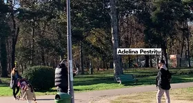 Galerie foto - poza 2