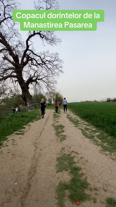 Sursa foto: capturi TikTok