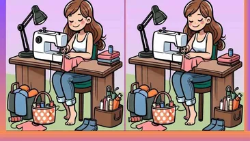 Test de perspicacitate | Găsiți toate cele 3 diferențe dintre aceste două poze!