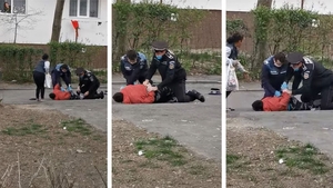 Un angajat al Primăriei Bacău a fost încătușat! Ce nereguli au descoperit polițiștii în declarația pe propria răspundere