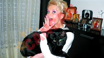 Motanul Sylviei, deseori confundat cu un catel