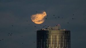 Cum a fost văzută cea mai mare Super Lună din ultimii 70 de ani, în România! FOTO