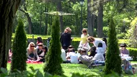 Ce se intampla in aceste momente in parcul Herastrau! Ce au facut romanii care au luat liber de 1 Mai!