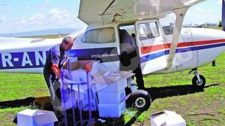 Vulpi vaccinate din avion!