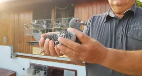 Galerie foto - poza 4