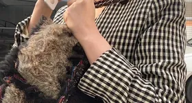 Galerie foto - poza 1