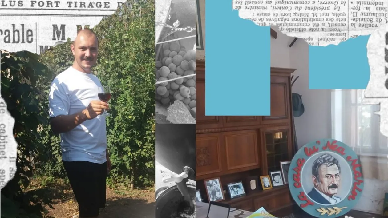 Oltenii lui Nea Mărin au dat atacul la noua recolta de zaibăr. Bei un pahar şi...