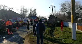 Galerie foto - poza 4