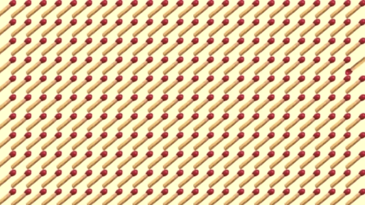 Test IQ pentru genii | Doar cei cu o minte sclipitoare descoperă bățul de chibrit diferit din imagine