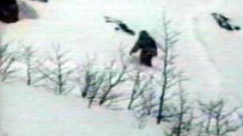 Unul dintre cele mai vechi mistere ale omenirii a fost elucidat! Uite ce este de fapt LEGENDARA CREATURA