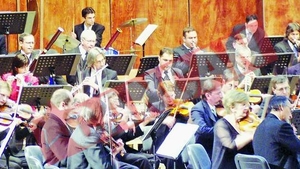 Dezmat cu "violonista sexy" la discoteca