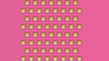 TEST IQ | Ești un geniu dacă poți găsi care pisică e diferită de toate celelalte, în maximum 5 secunde