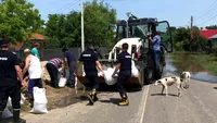 VIDEO. Zeci de gospodării inundate în Teleorman. Pompierii au umplut saci cu nisip pentru a opri apa