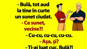 BANC | Bulă, tot aud la tine în curte un sunet ciudat