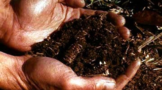 Dependenta stranie! O tanara mananca pamant zilnic, de zece ani!
