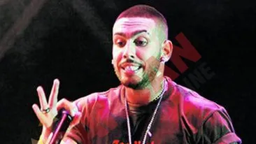 Face show in curtea scolii