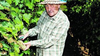 Zilierii vor plati un impozit de 16%