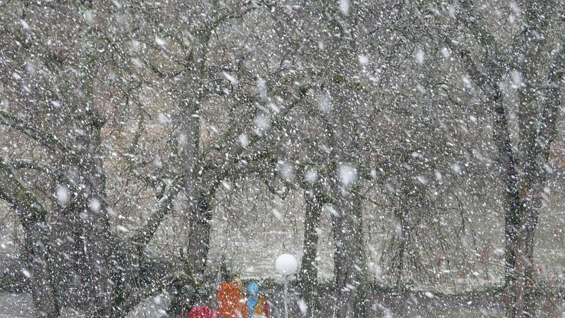 Prognoza meteo 15 ianuarie: cod portocaliu de vreme severă! Două judeţe se află sub avertizate de  viscol