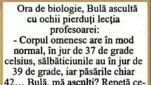 BANC | Bulă, la ora de biologie: "Omul are 37 de grade Celsius, dar când devine sălbatic.."