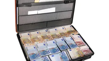 Cea mai buna meserie pe timp de criza! O firma daneza cauta 40 de muncitori care sa jupoaie nurci pentru 100 de euro pe zi